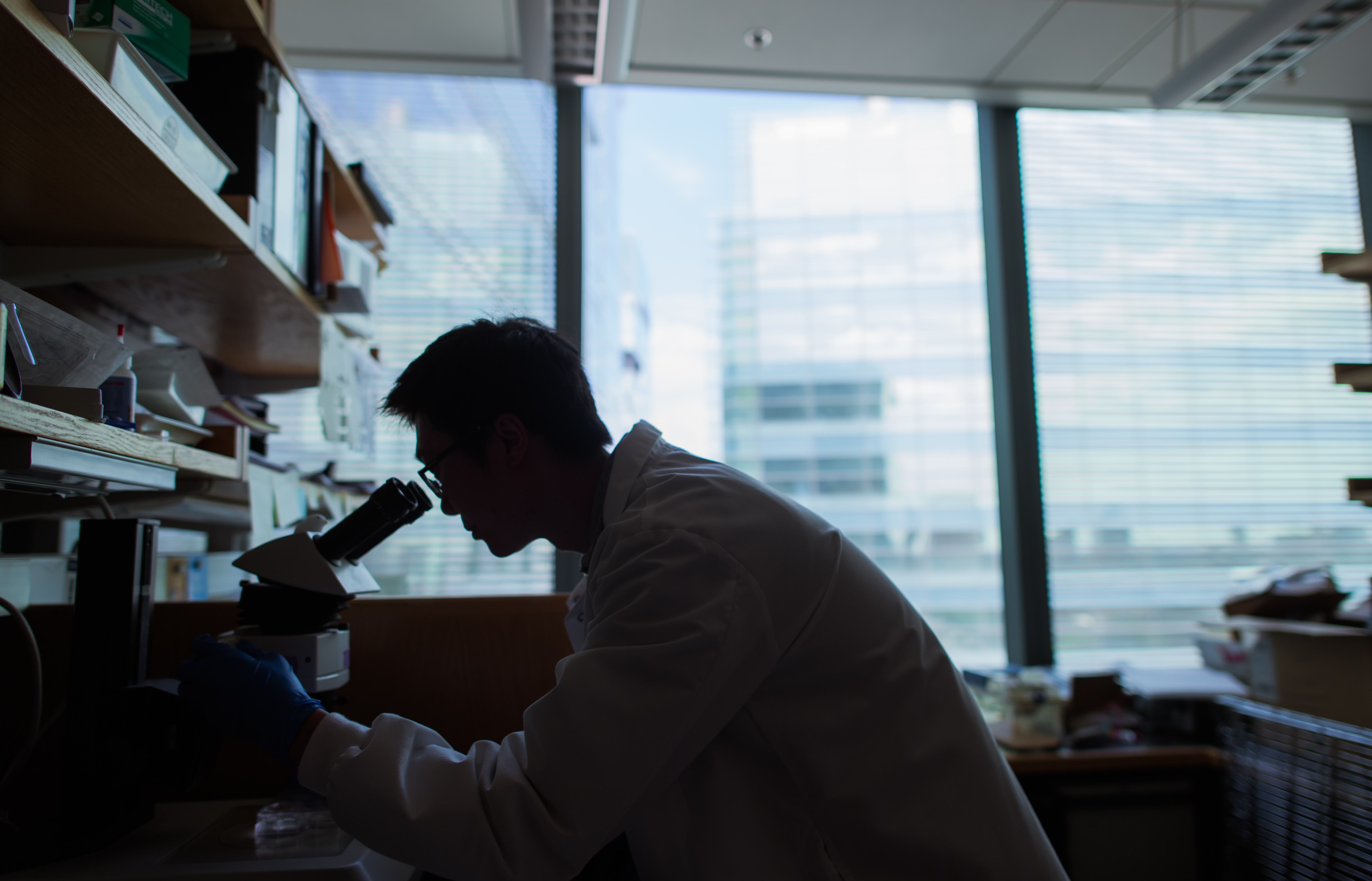 Researcher looks into microscope