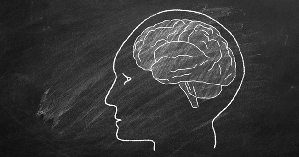 GIF of grey background and white outlined head with brain