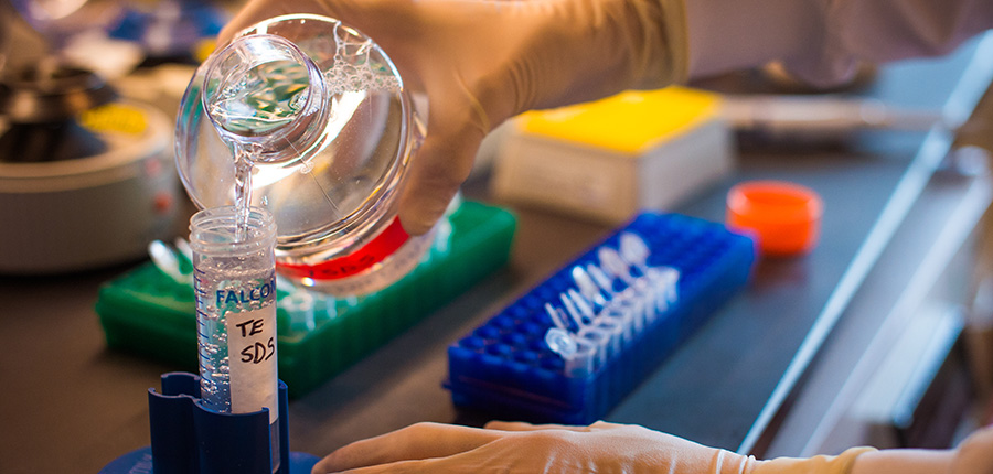 Close up of hands pouring liquid into a test tube.