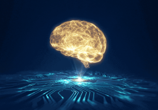 Picture of gold brain 