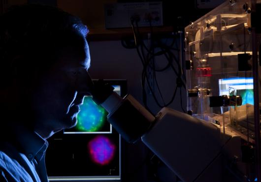 Dark photo of doctor looking through microscope 