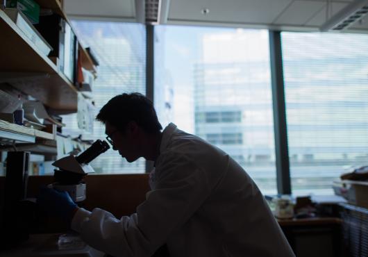 Researcher looks into microscope