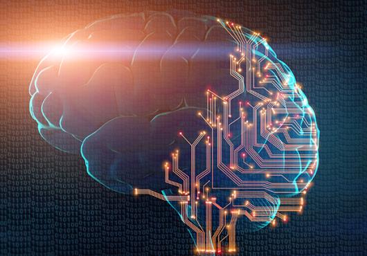 Illustration of a brain with a circuit board.