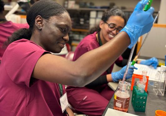 A young adult works in the lab