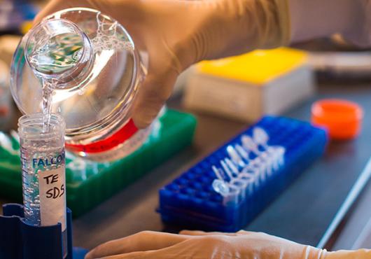 Close up of hands pouring liquid into a test tube.