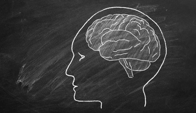 GIF of grey background and white outlined head with brain