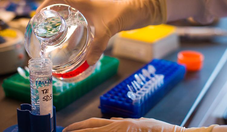 Close up of hands pouring liquid into a test tube.